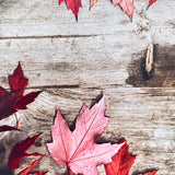 Autumnal Leaves Wooden Canvas Photography Background