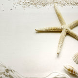 Starfish Grain Canvas Photography Background