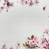 Spring Tree Blossoms Canvas Photography Background