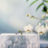 Marble Stone Floral Canvas Photography Background