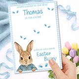 EASTER- BUNNY GINGHAM BLUE -IN THE ENTIRE GALAXY BOARD