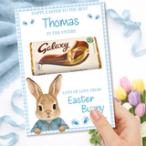 EASTER- BUNNY GINGHAM BLUE -IN THE ENTIRE GALAXY BOARD