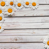 Daisy Wooden Corner Canvas Photography Background