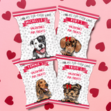 DOG VALENTINES DAY DIY TREAT PACKETS