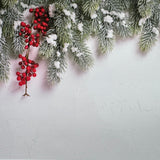 Pine Berries Canvas Photography Background