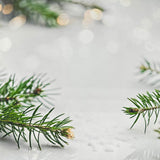 Xmas Tree Stems Canvas Photography Background