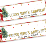 NEW ELF ARRIVAL BANNERS | UV PRINTED PVC | 77CM X 25CM