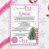 PINK ELF LETTER ARRIVAL LETTERS 2025