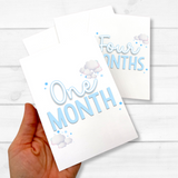 BABY MILESTONE CARDS- BLUE