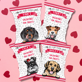 DOG VALENTINES DAY DIY TREAT PACKETS