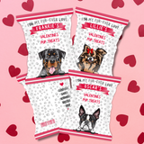 DOG VALENTINES DAY DIY TREAT PACKETS