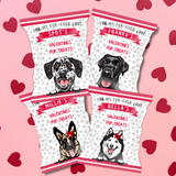 DOG VALENTINES DAY DIY TREAT PACKETS