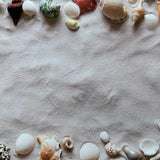 Sandy Beach Shells Canvas Photography Background