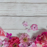 Bright Pink Floral Blooms Wooden Canvas Photography Background