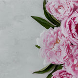 Pink Peony Floral Wooden Canvas Photography Background