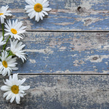 Daisy Blue Wooden Canvas Photography Background