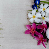 Tropical Coconut Vibes Floral Wooden Canvas Photography Background