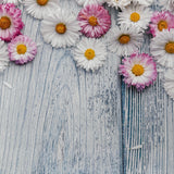 Pink & White Daisies Wooden Canvas Photography Background