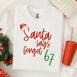 DTF TRANSFER | SANTA SAYS FORGET 67