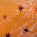 Spiders & Cobwebs Canvas Photography Background
